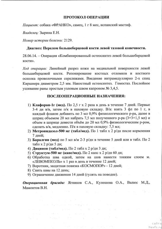 Фотография № 158348