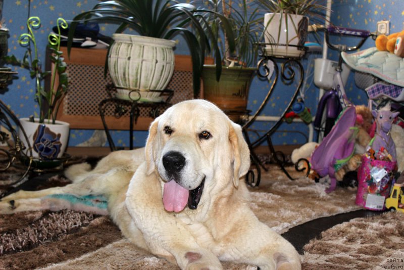 Фотография № 158353