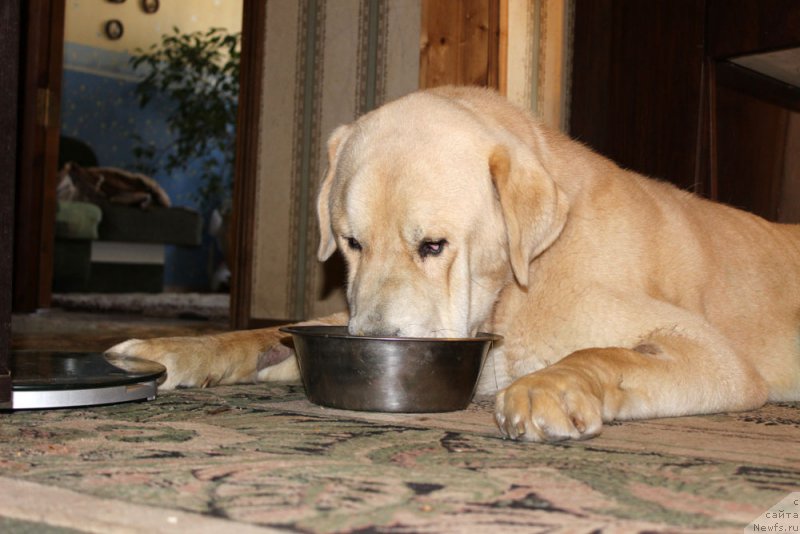 Фотография № 158354