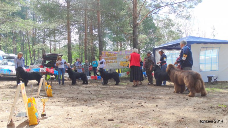 Фотография № 158371