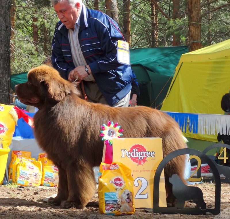 Фотография № 158372