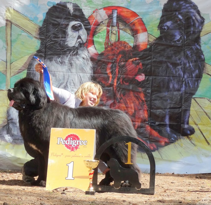 Фотография № 158373