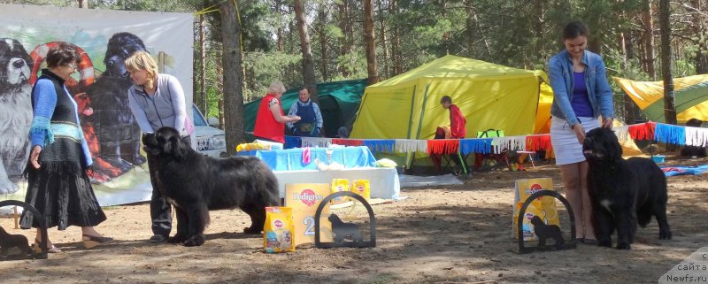 Фотография № 158375