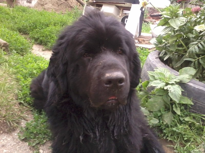 Фотография № 158423