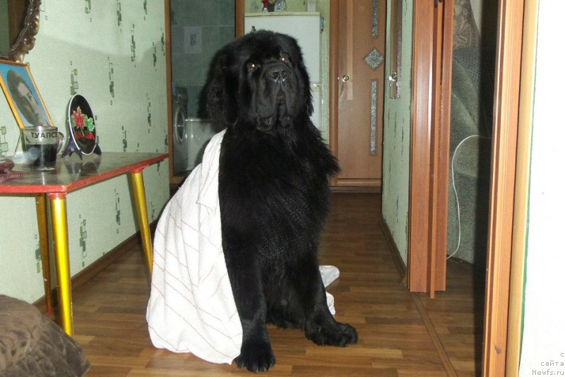 Фотография № 158455