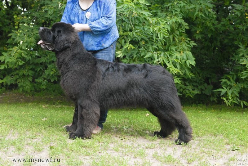 Фотография № 158516