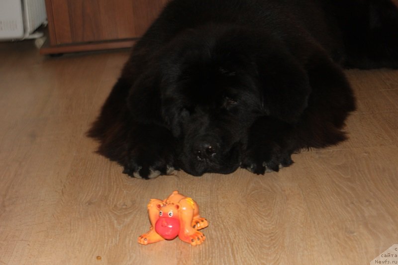 Фотография № 158517