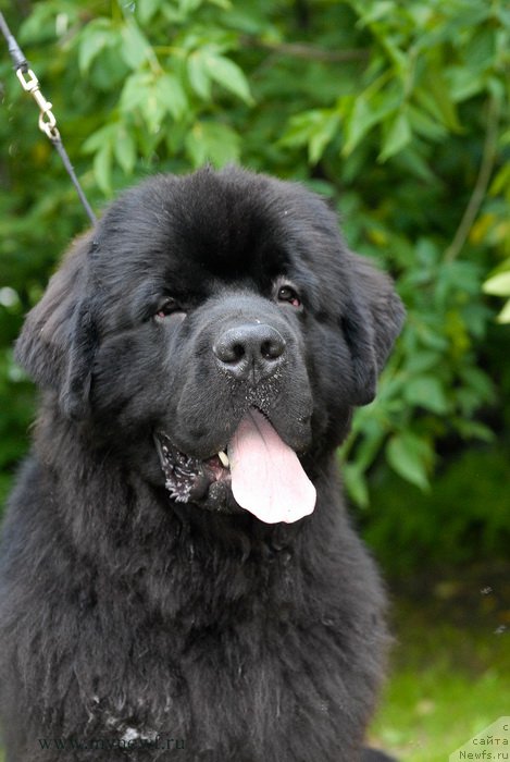 Фотография № 158521