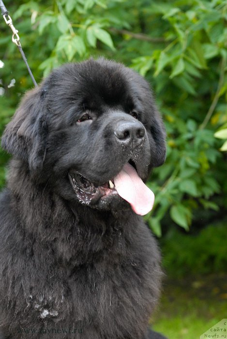 Фотография № 158522