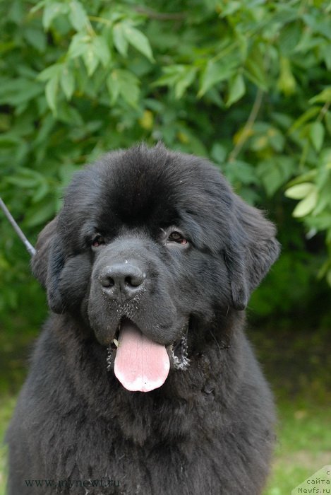 Фотография № 158523