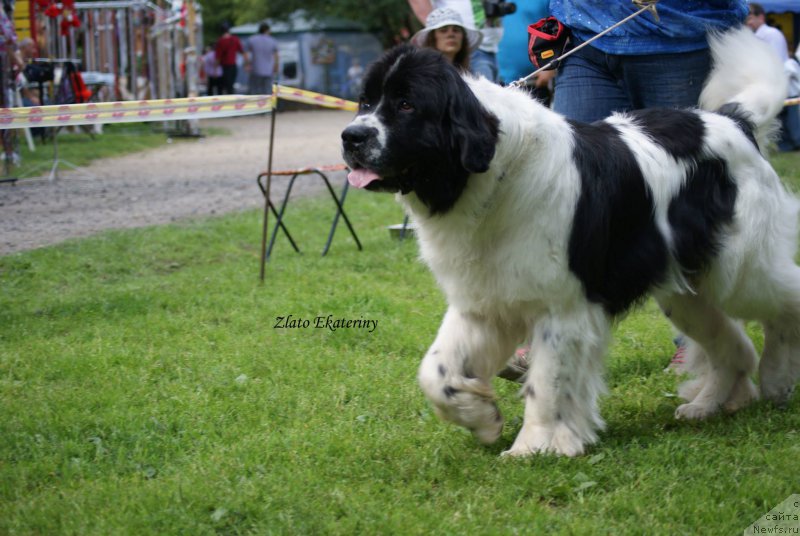 Фотография № 158525