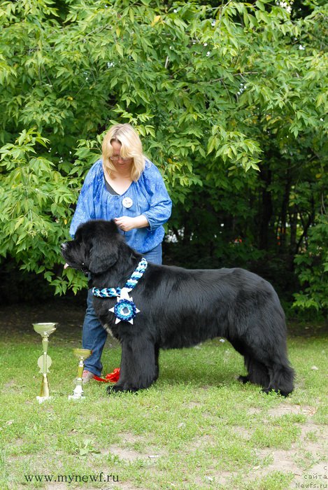 Фотография № 158527