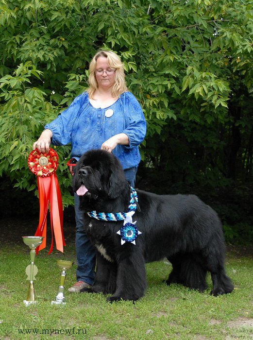 Фотография № 158528