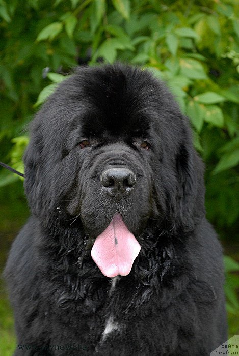 Фотография № 158532