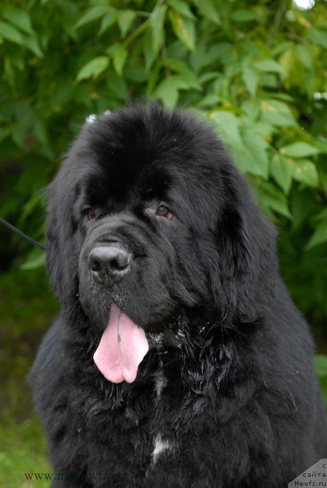 Фотография № 158533