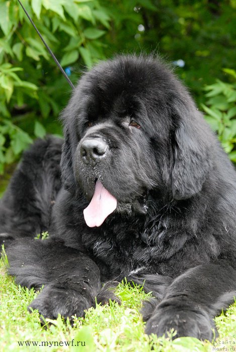 Фотография № 158536