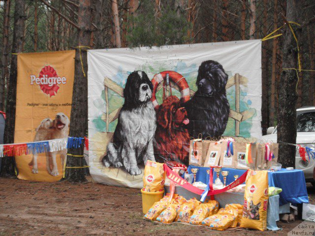 Фотография № 158608