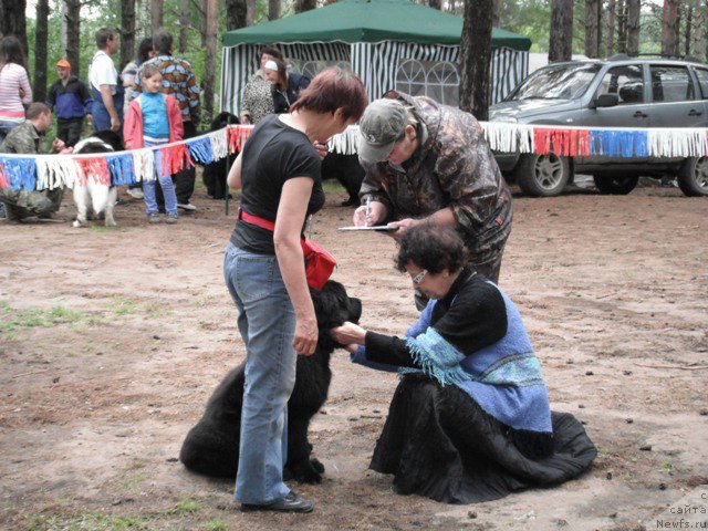 Фотография № 158609