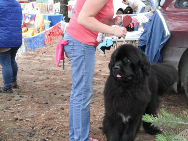 Фотография № 158613