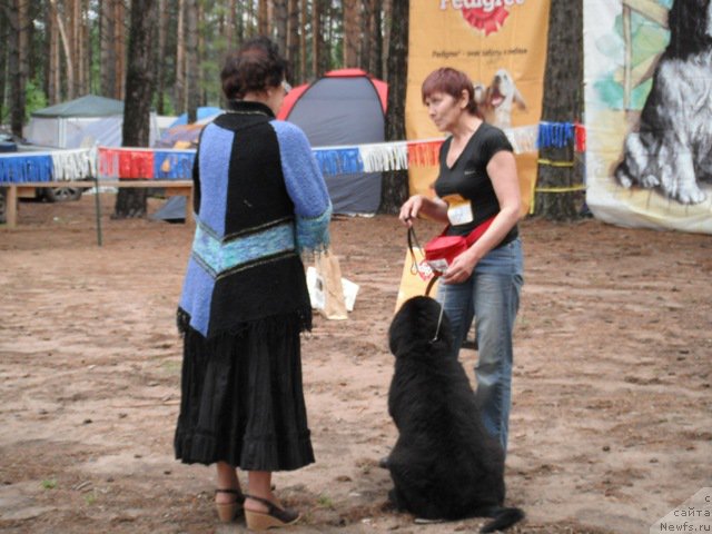 Фотография № 158614