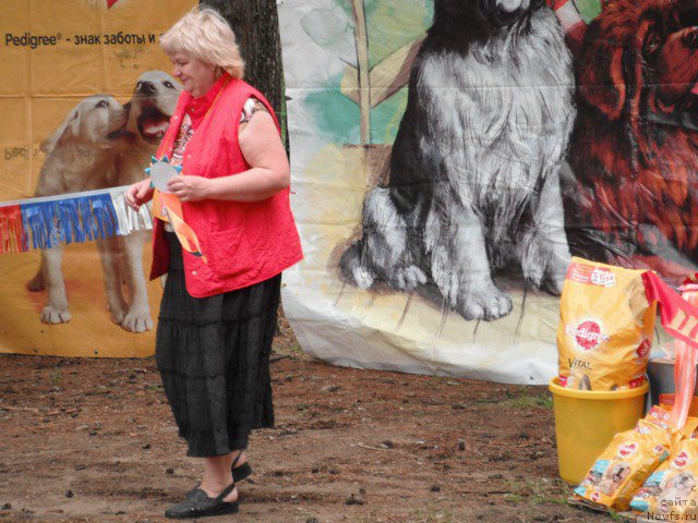 Фотография № 158617