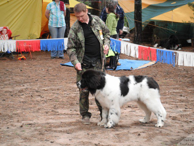 Фотография № 158623