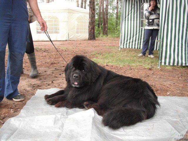 Фотография № 158626