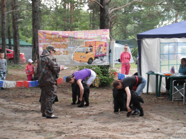 Фотография № 158628