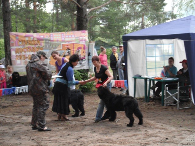 Фотография № 158630