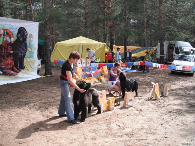 Фотография № 158631