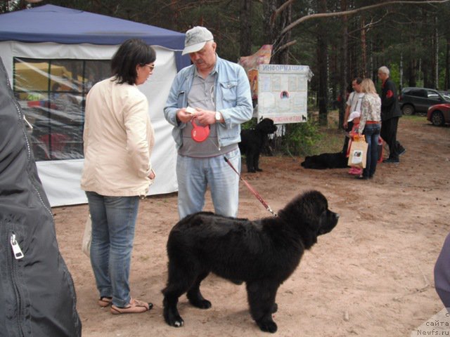 Фотография № 158632