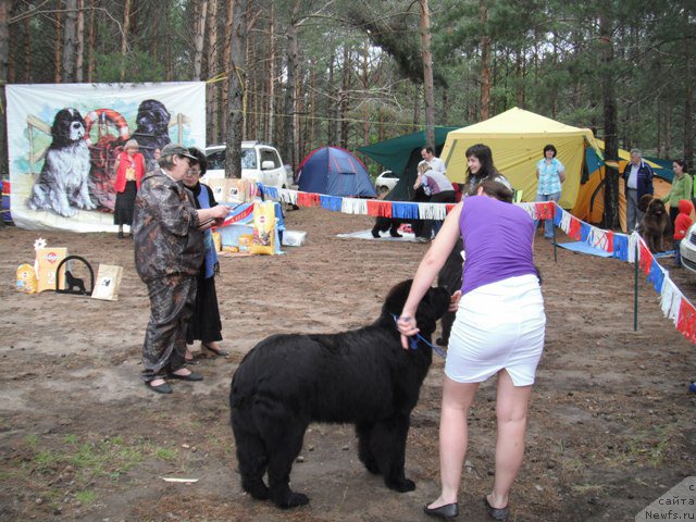 Фотография № 158634