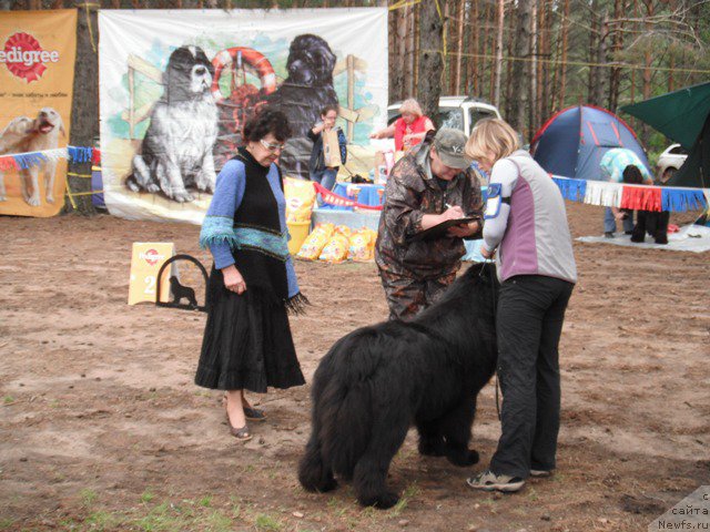 Фотография № 158635