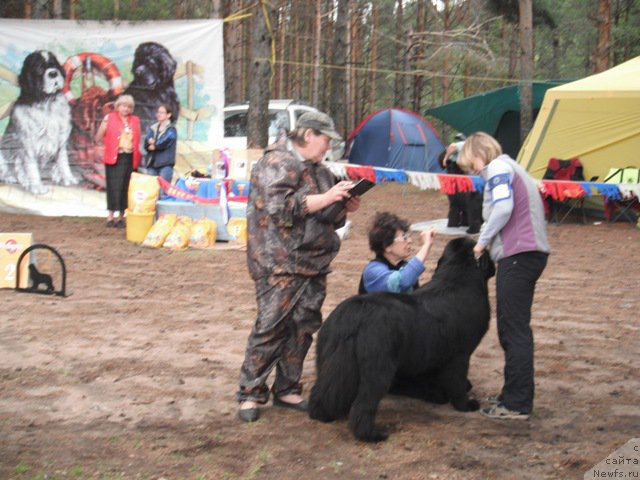 Фотография № 158636