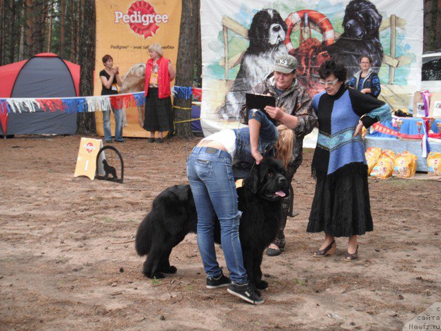 Фотография № 158637