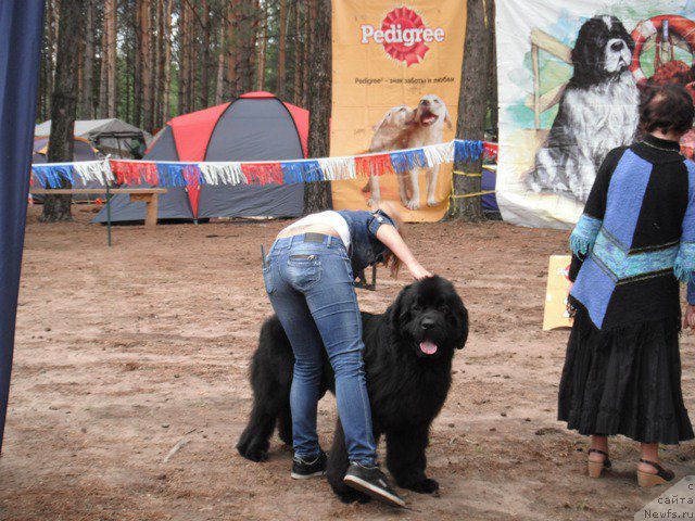 Фотография № 158639