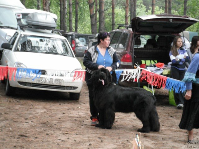 Фотография № 158645