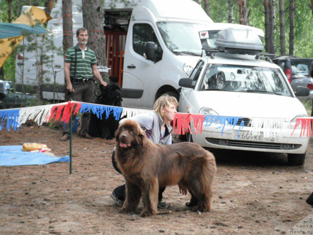 Фотография № 158646