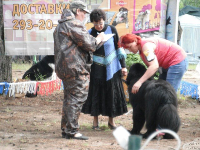 Фотография № 158647