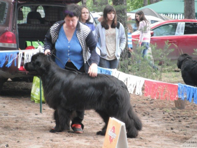 Фотография № 158648