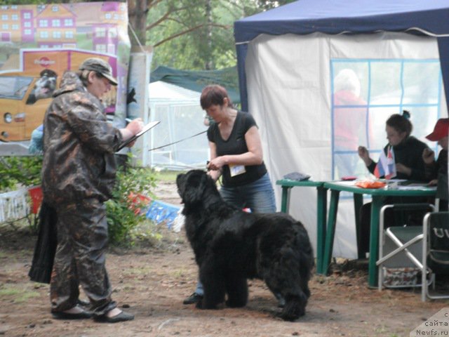 Фотография № 158649