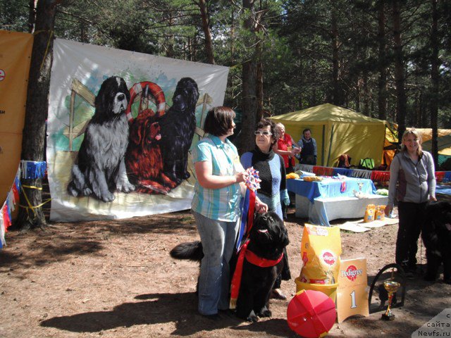 Фотография № 158651