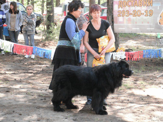 Фотография № 158652