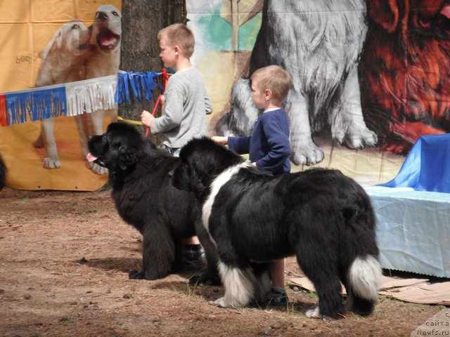 Фотография № 158653