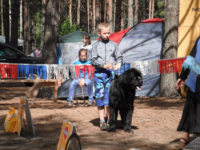 Фотография № 158654