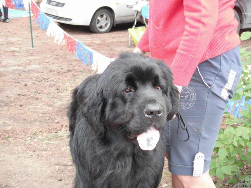 Фотография № 158655