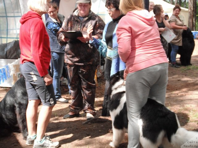 Фотография № 158656