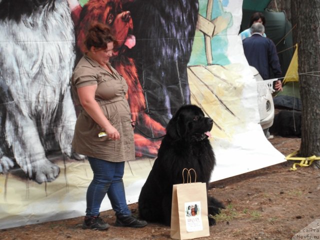 Фотография № 158658