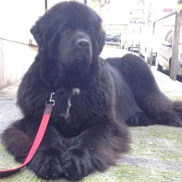 Фотография № 158672