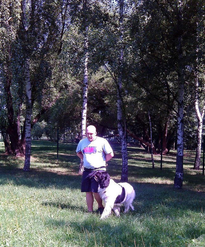 Фото: Михаил Михайлов